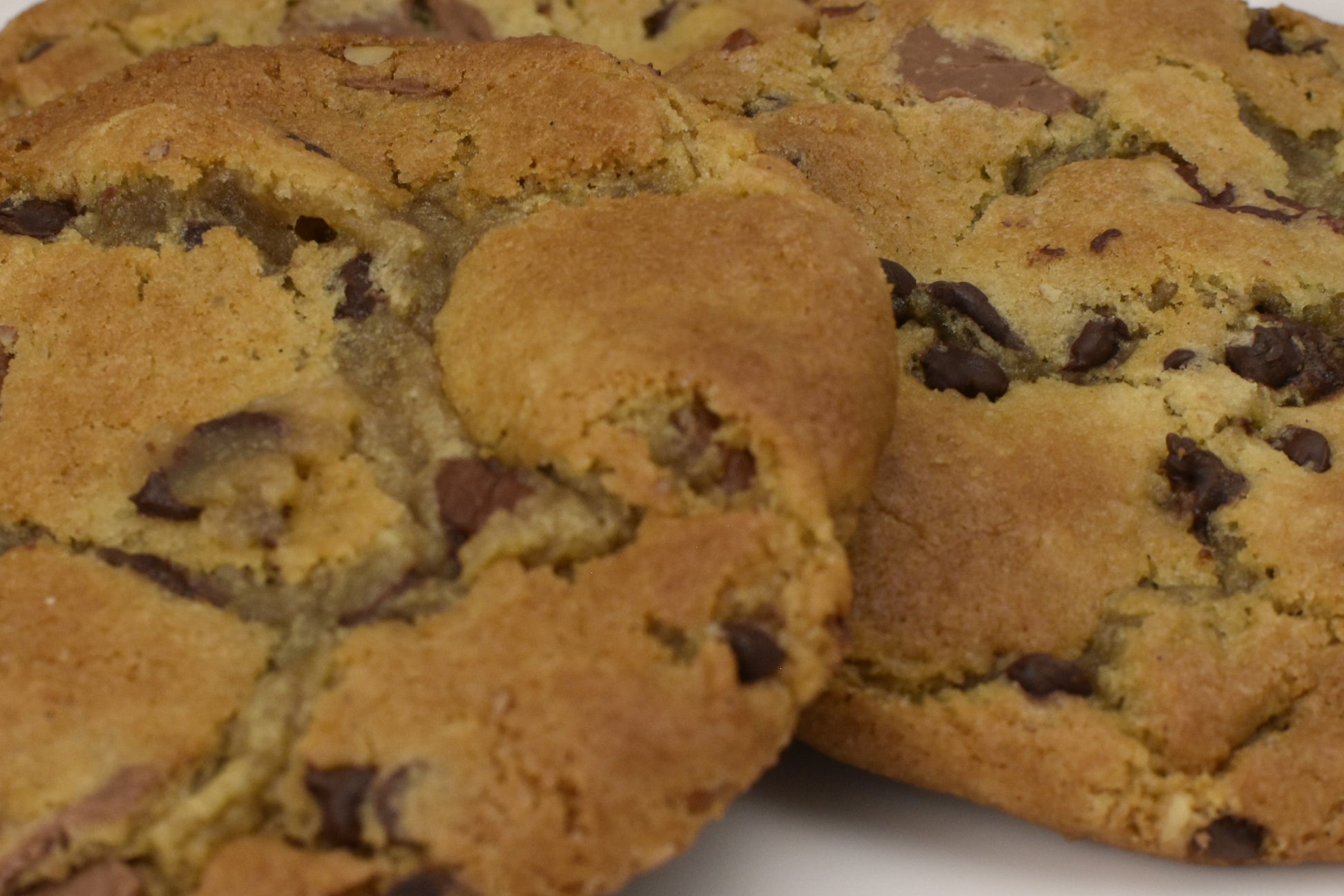Cookie Chocolate Chip (B2B)